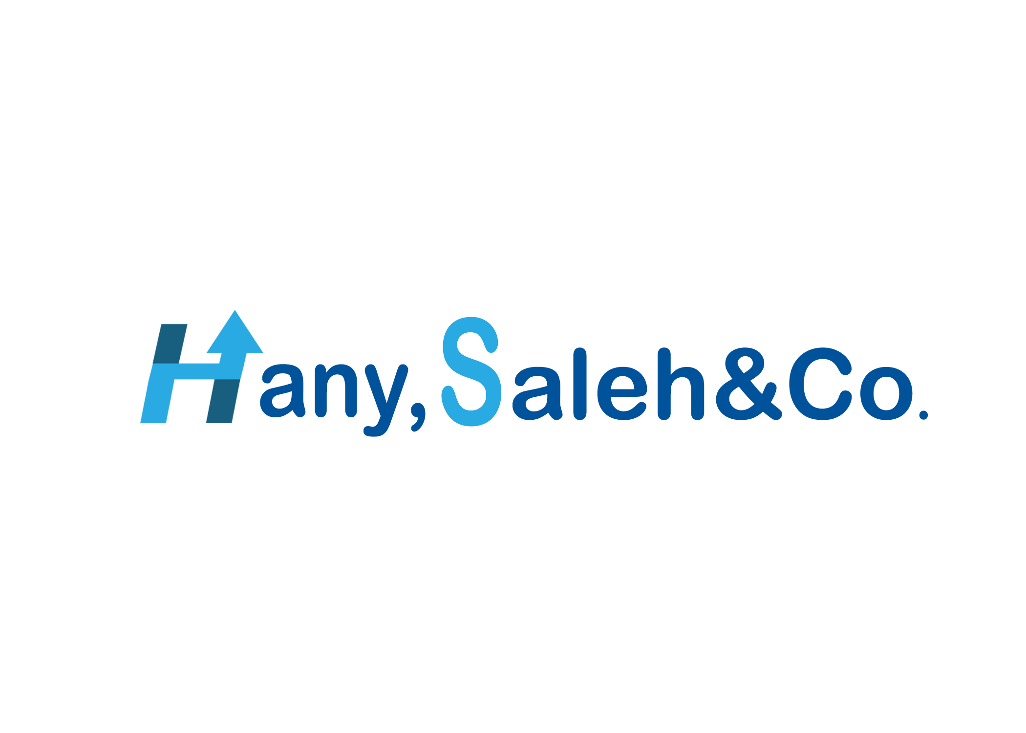 Hany,Saleh&Co.